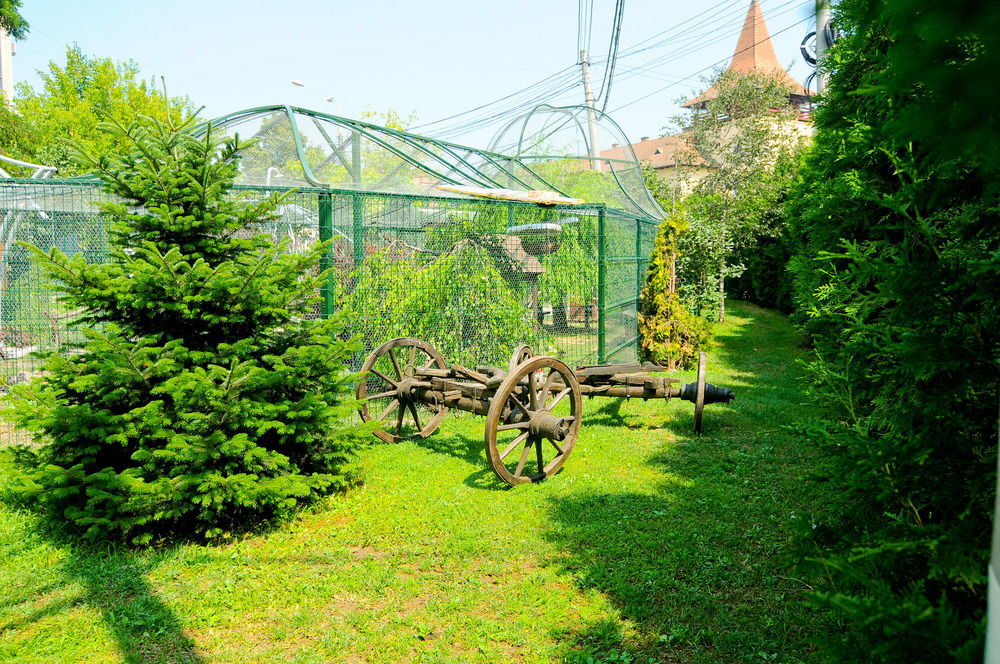 Pension La Cupola Targu-Mures Bagian luar foto