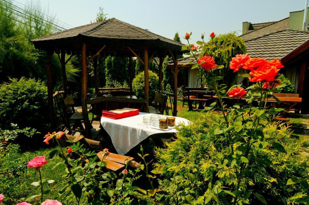 Pension La Cupola Targu-Mures Bagian luar foto