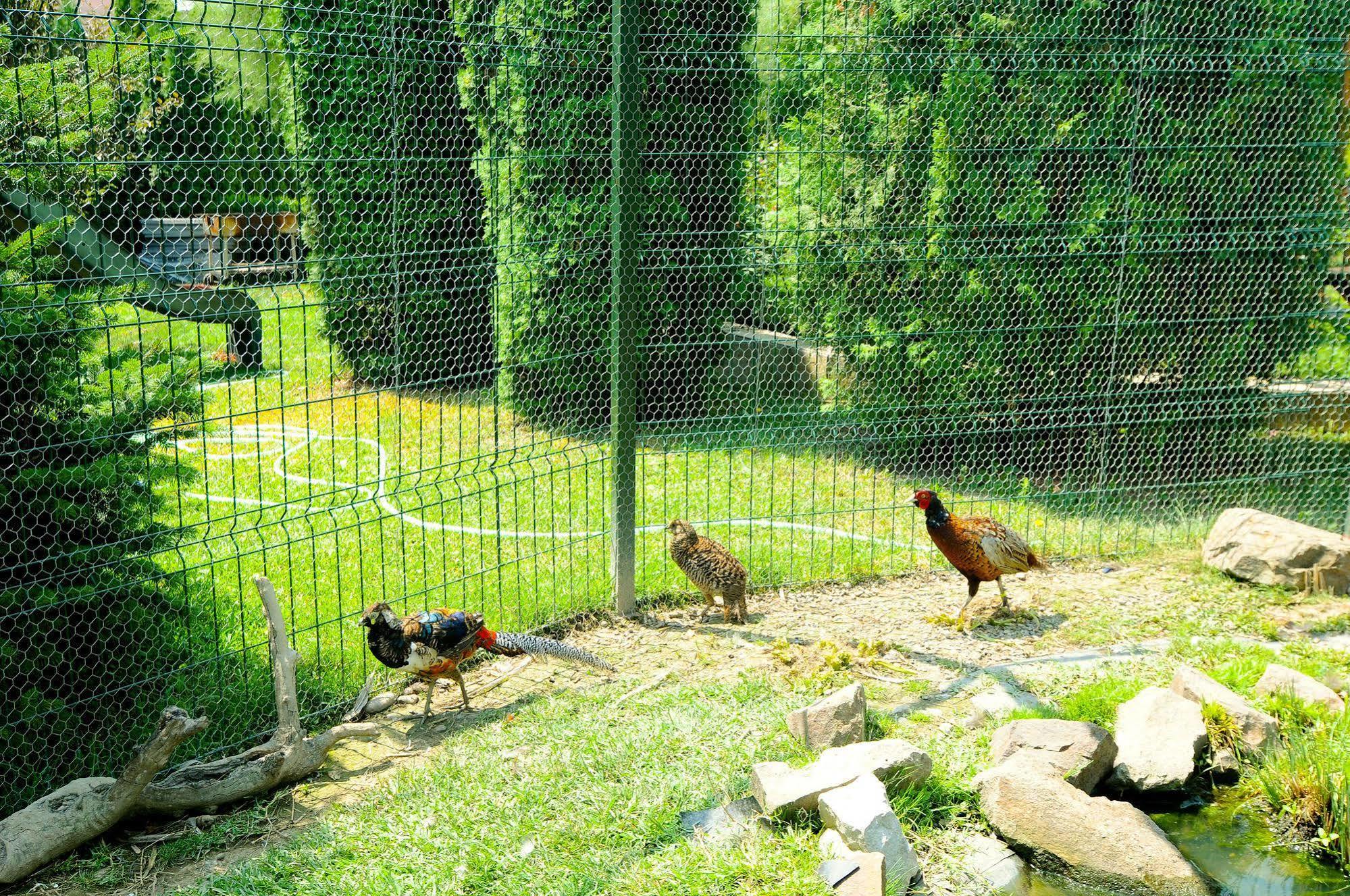 Pension La Cupola Targu-Mures Bagian luar foto